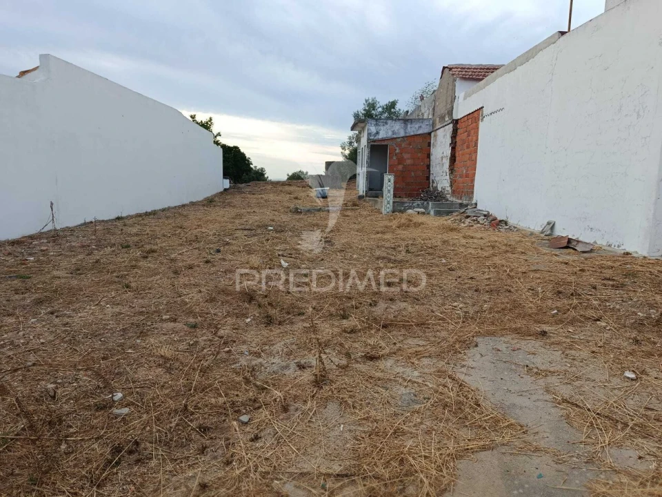 Terreno para Venda em Alpiarça Foto 6