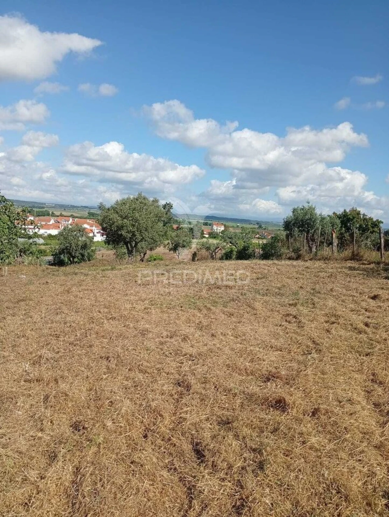 Terreno para Venda em Alpiarça Foto 5