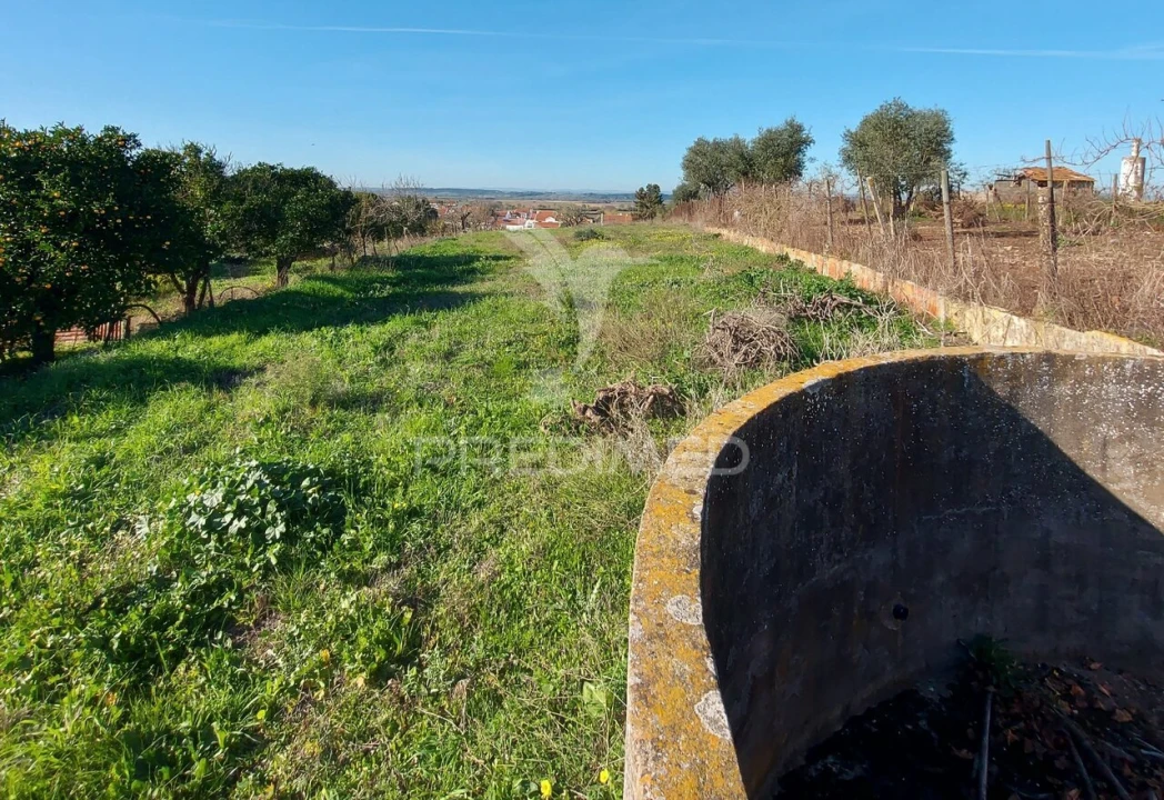 Terreno para Venda em Alpiarça Foto 10