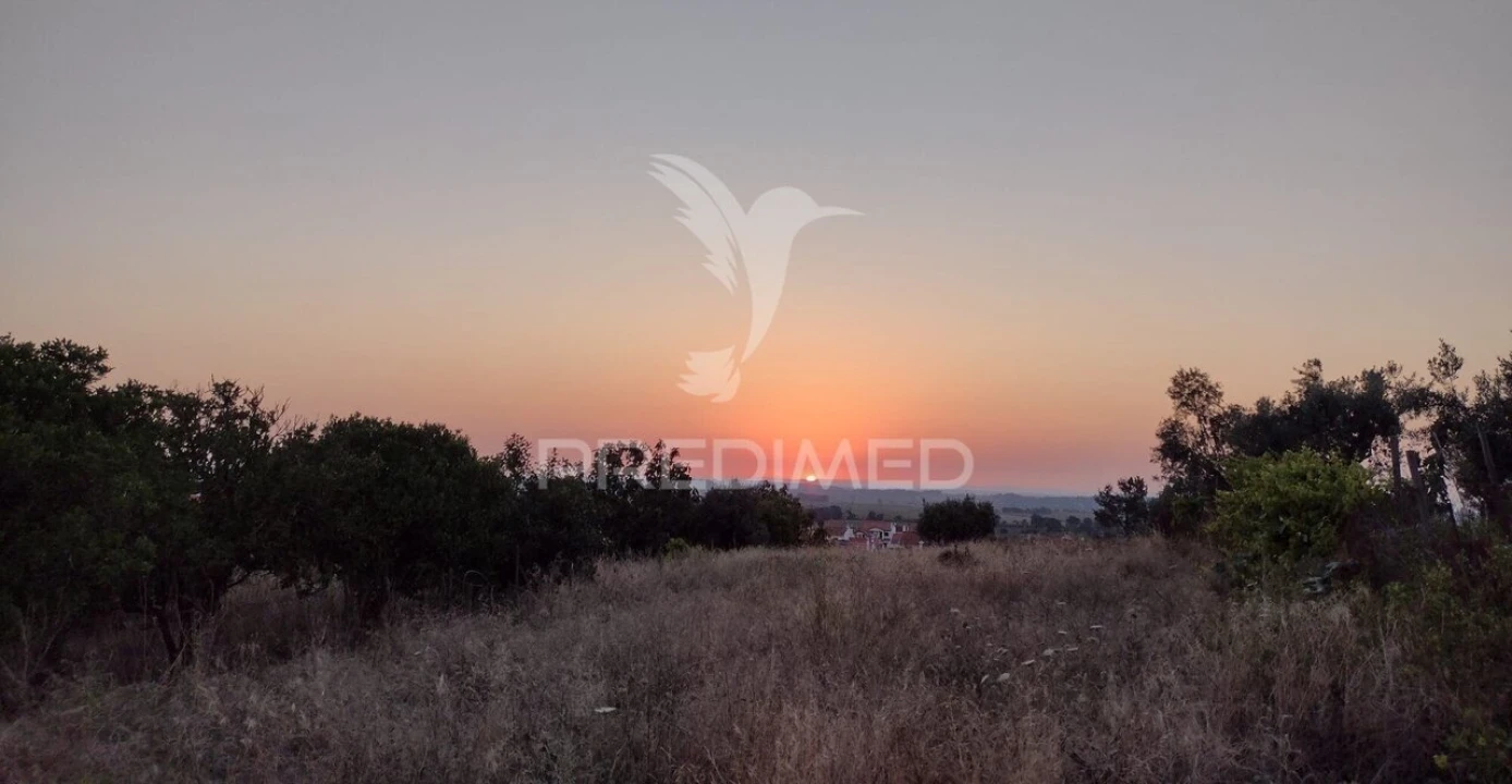 Terreno para Venda em Alpiarça Foto 3