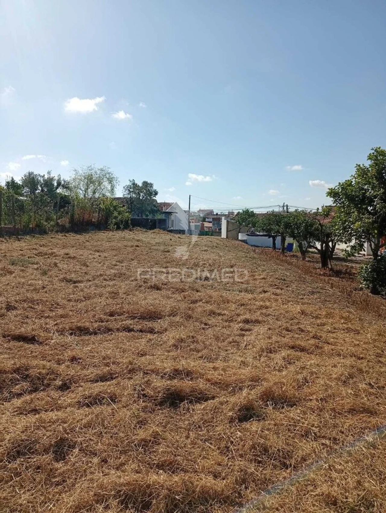 Terreno para Venda em Alpiarça Foto 12