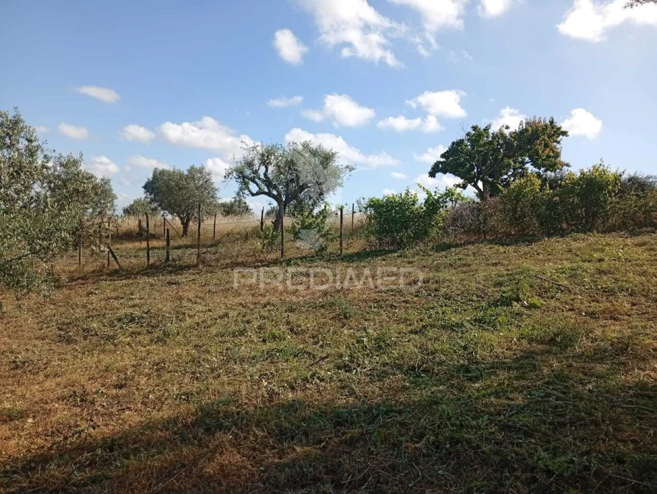 Terreno para Venda em Alpiarça Foto 10