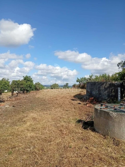 Terreno para Venda em Alpiarça