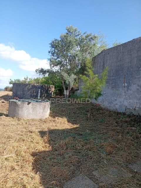 Terreno para Venda em Alpiarça
