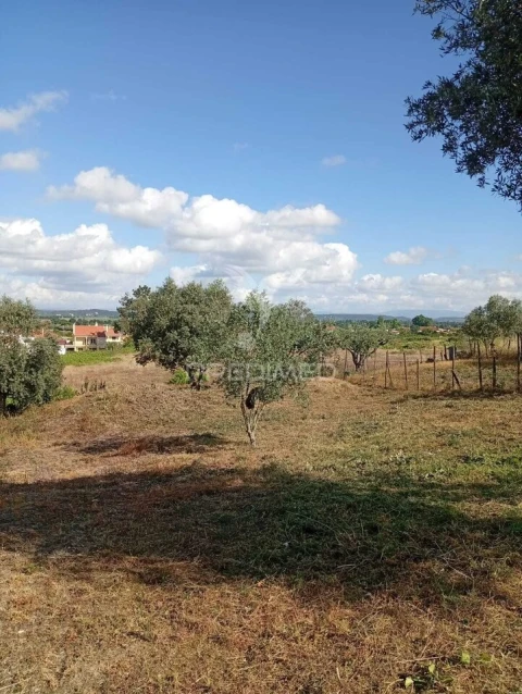 Terreno para Venda em Alpiarça
