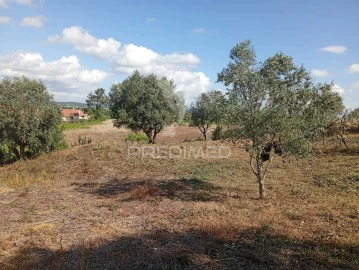 Terreno para Venda em Alpiarça