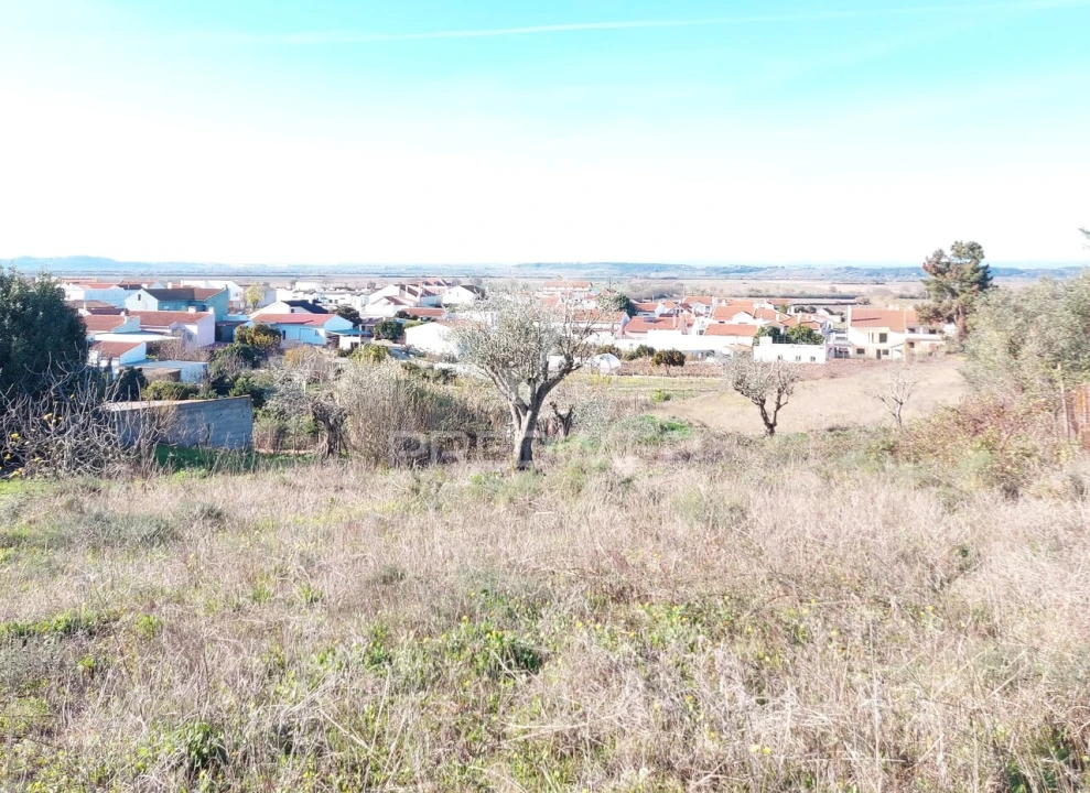 Terreno para Venda em Alpiarça Foto 11