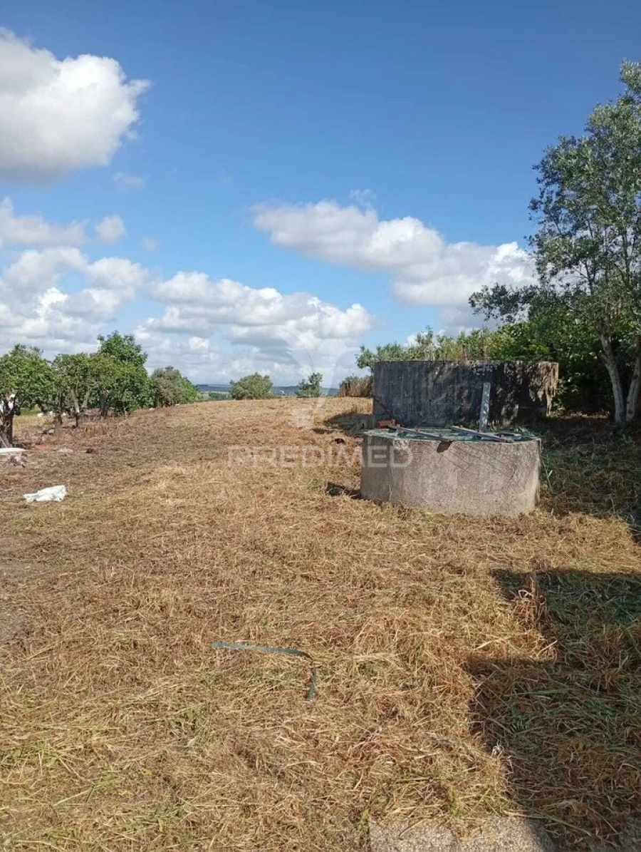 Terreno para Venda em Alpiarça Foto 14