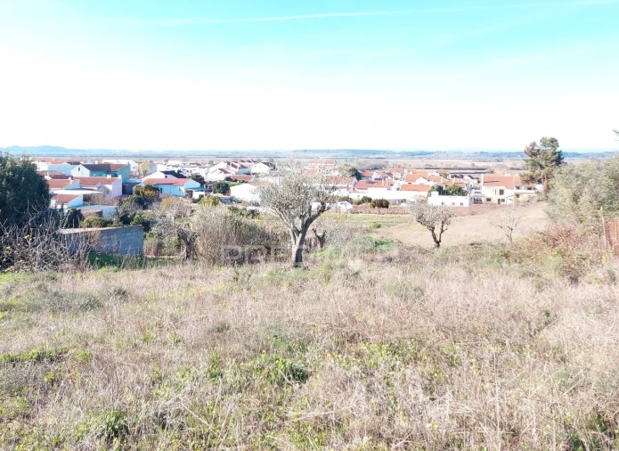 Terreno para Venda em Alpiarça Foto 11