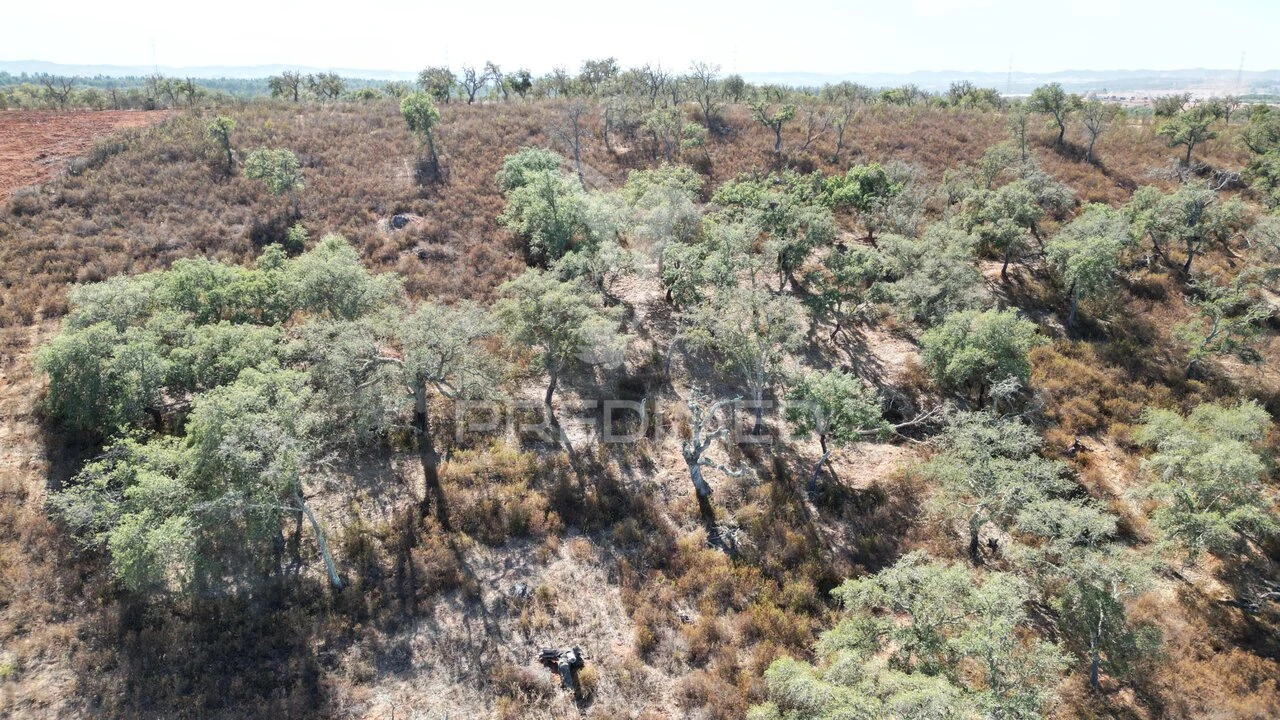 Terreno para Venda em Ourique Foto 9