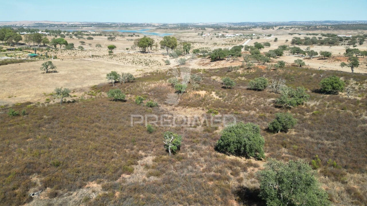 Terreno para Venda em Ourique Foto 4