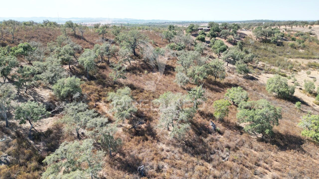 Terreno para Venda em Ourique Foto 10