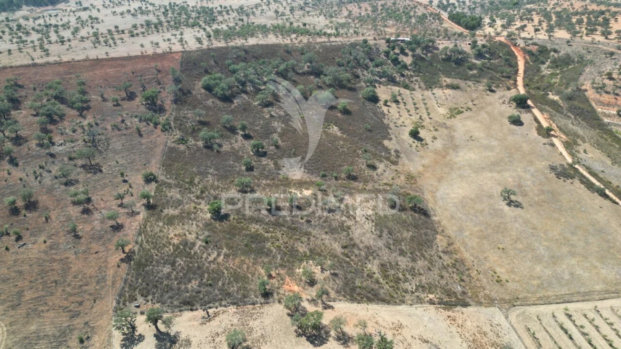 Terreno para Venda em Ourique Foto 5