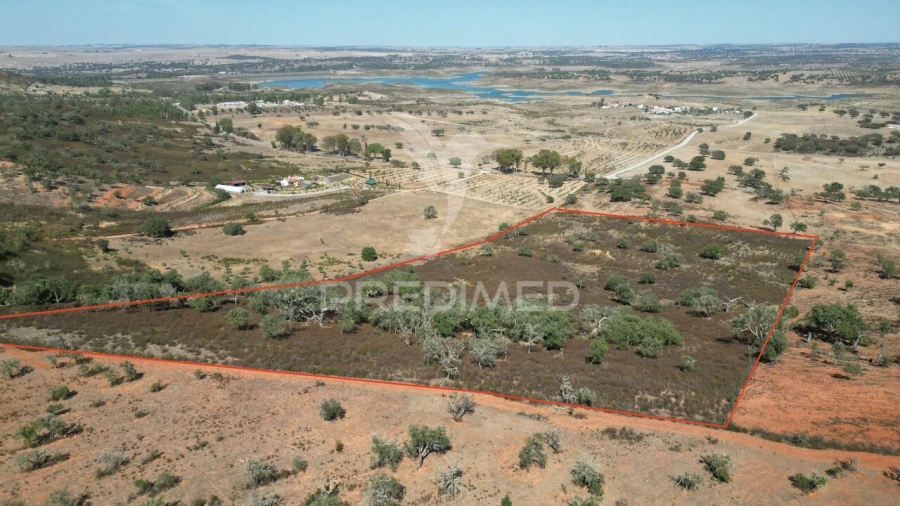 Terreno para Venda em Ourique Foto 2