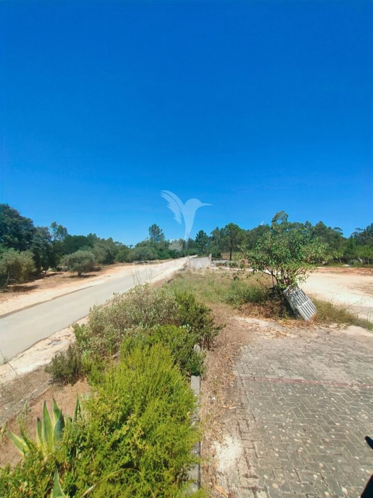 Armazém para Arrendamento em Minde Foto 15