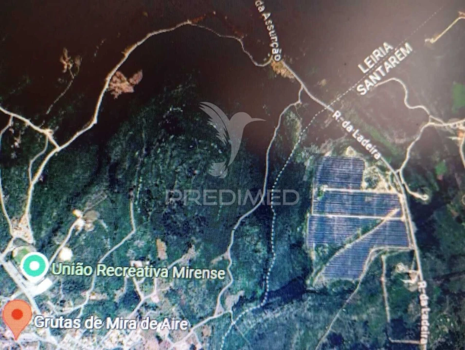 Terreno para Venda em Minde Foto 3