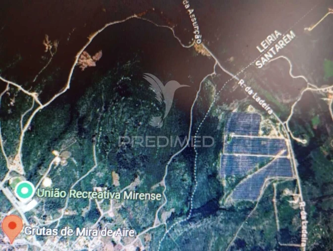 Terreno para Venda em Minde Foto 3