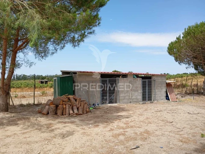 Moradia T1 para Venda em Alpiarça Foto 14