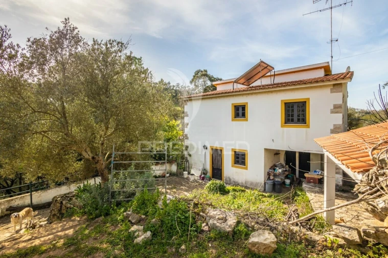 Moradia T4 para Venda em Aljubarrota Foto 33