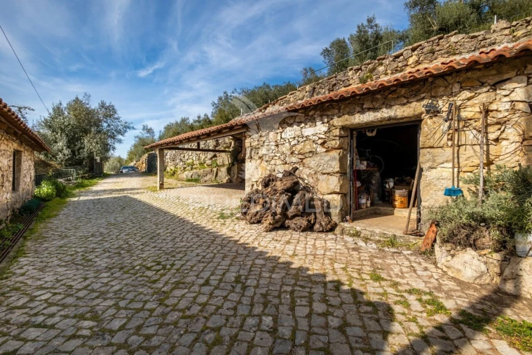 Moradia T4 para Venda em Aljubarrota Foto 4