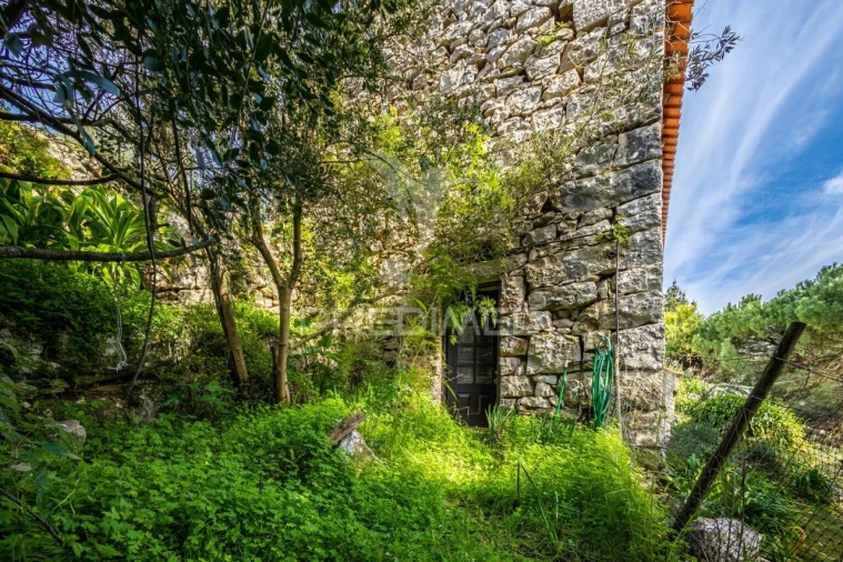 Moradia T4 para Venda em Aljubarrota Foto 3