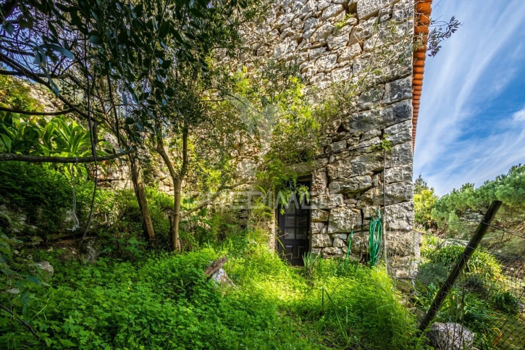 Moradia T4 para Venda em Aljubarrota Foto 3