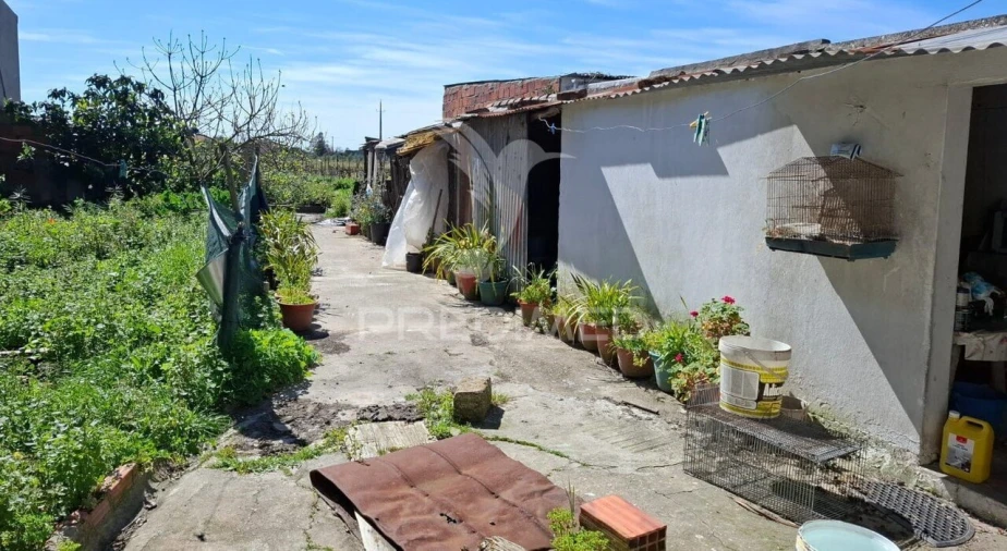 Moradia T2 para Venda em Alpiarça Foto 9