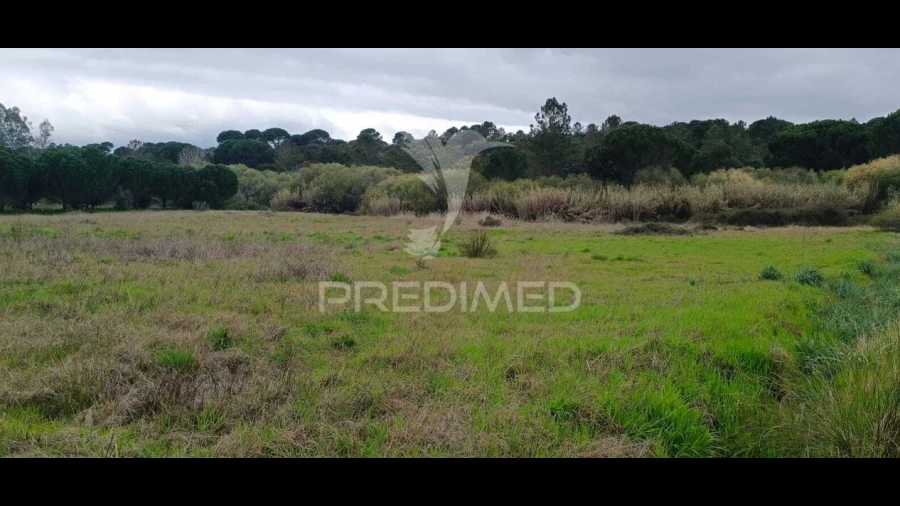 Terreno para Venda em Cabeção