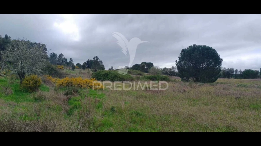 Terreno para Venda em Cabeção