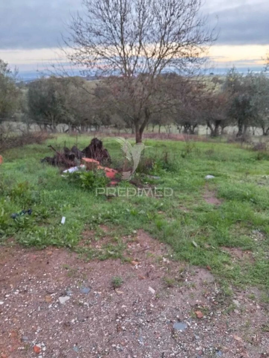 Moradia T2 para Venda em Santiago Maior Foto 18