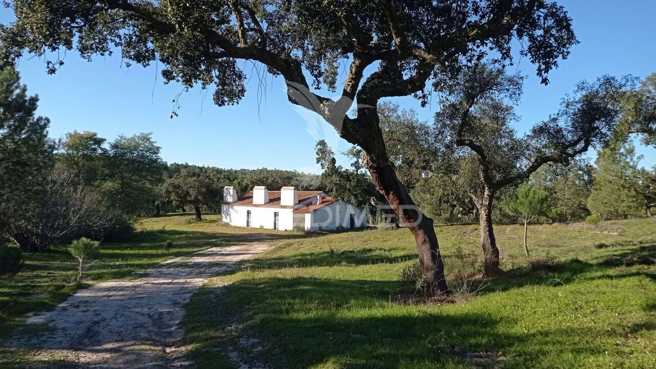 Quinta T0 para Venda em Mora Foto 27