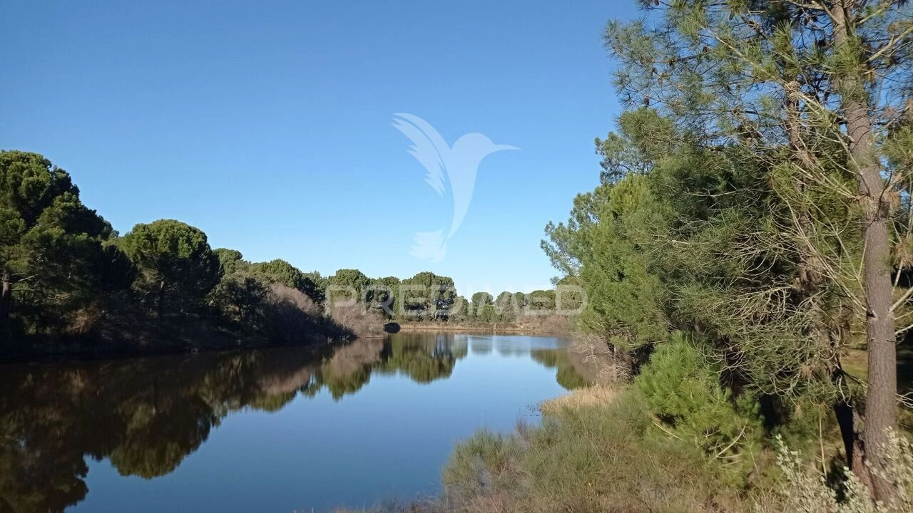 Quinta T0 para Venda em Mora Foto 32