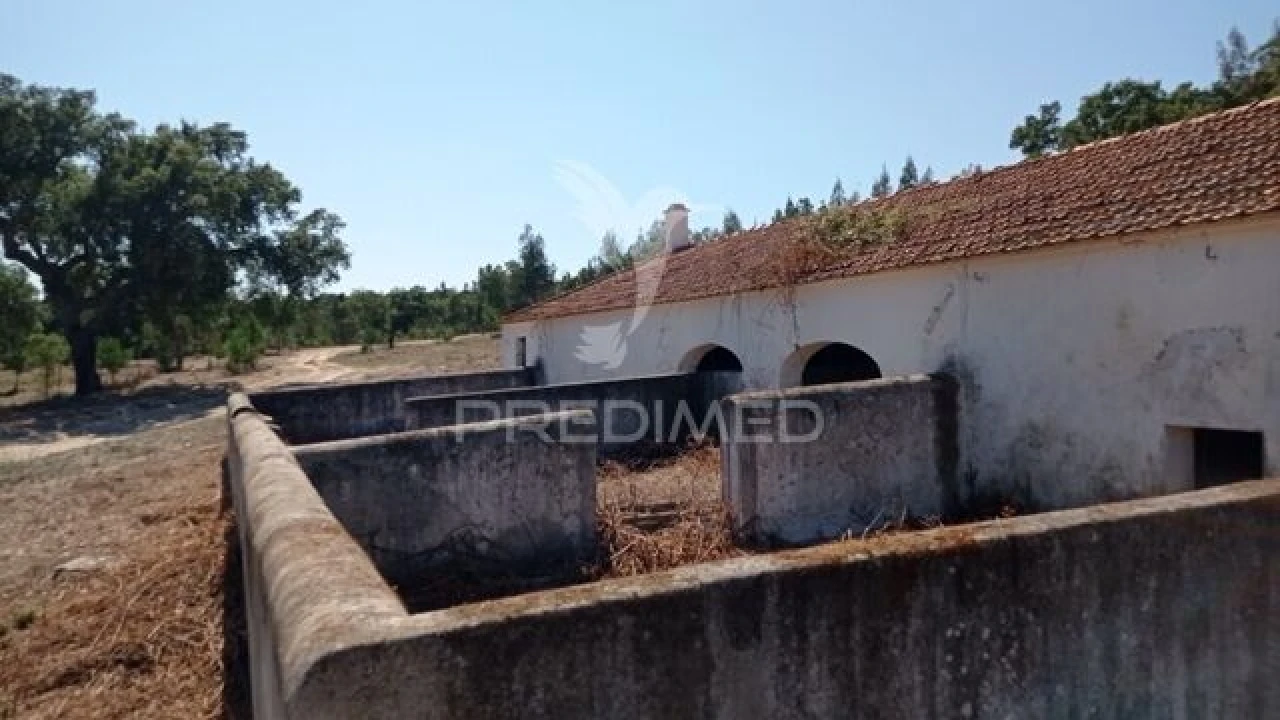 Quinta T0 para Venda em Mora Foto 16