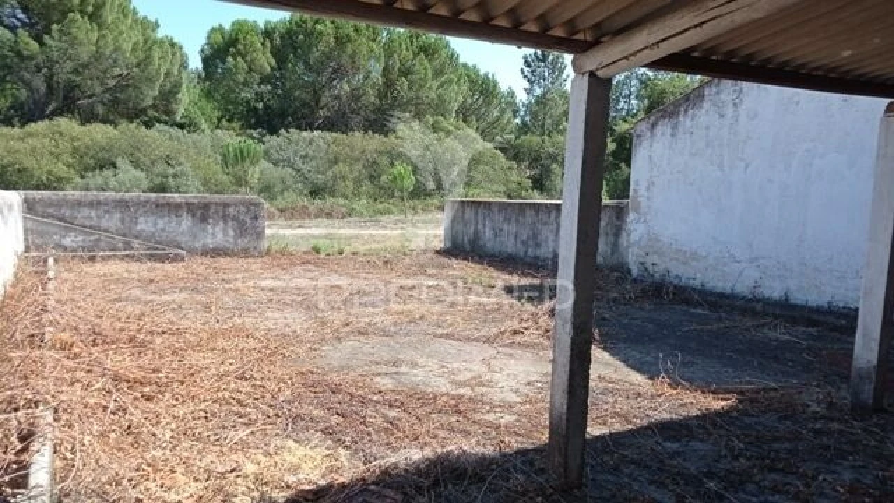 Quinta T0 para Venda em Mora Foto 18