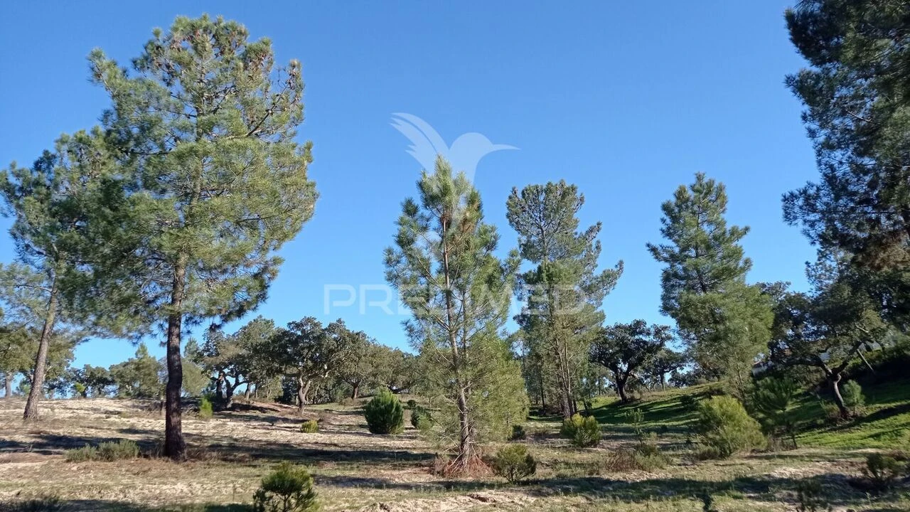 Quinta T0 para Venda em Mora Foto 33