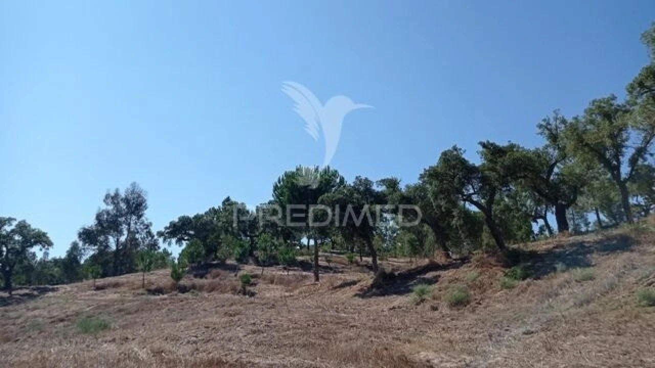 Quinta T0 para Venda em Mora Foto 14