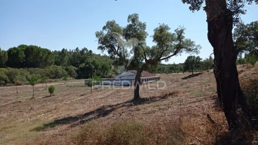 Quinta T0 para Venda em Mora Foto 10