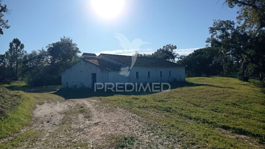 Quinta T0 para Venda em Mora Foto 28