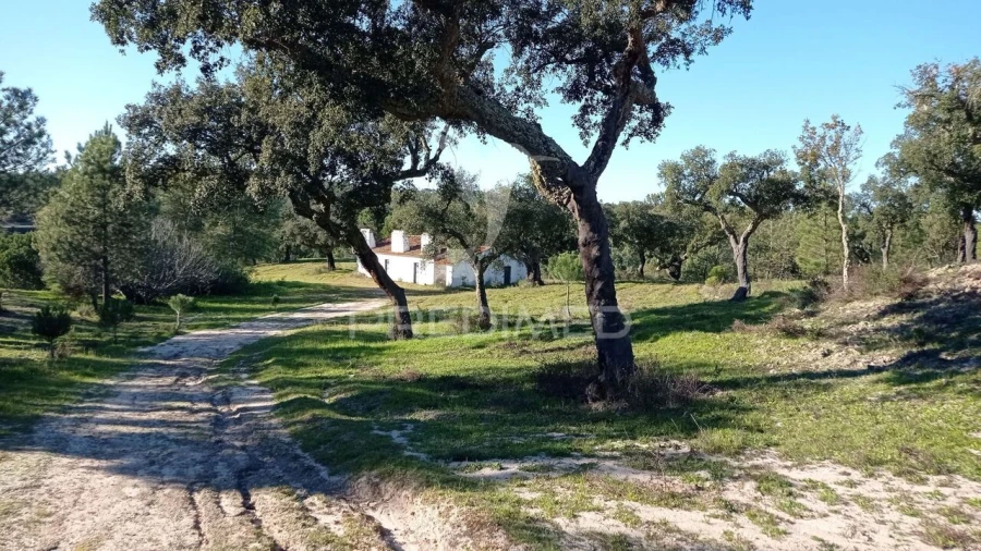 Quinta T0 para Venda em Mora Foto 26