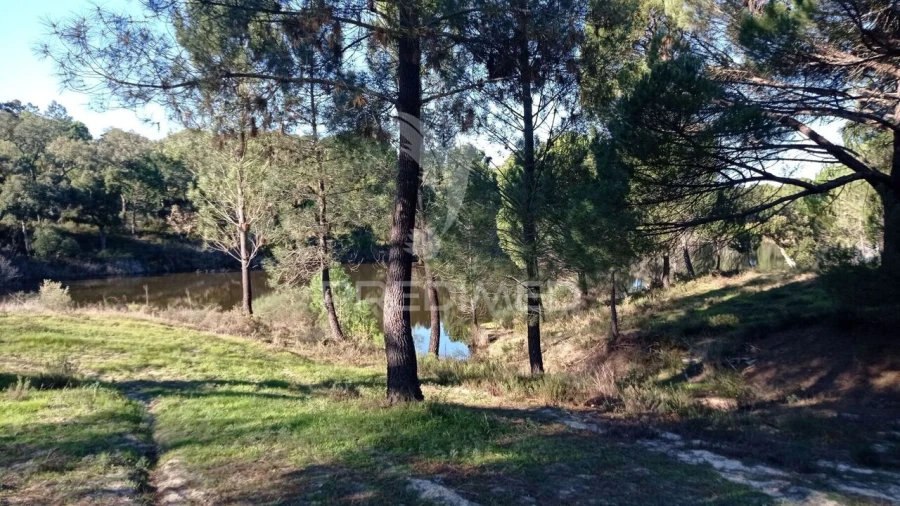 Quinta T0 para Venda em Mora Foto 30