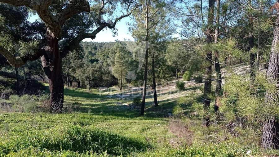 Quinta T0 para Venda em Mora Foto 29