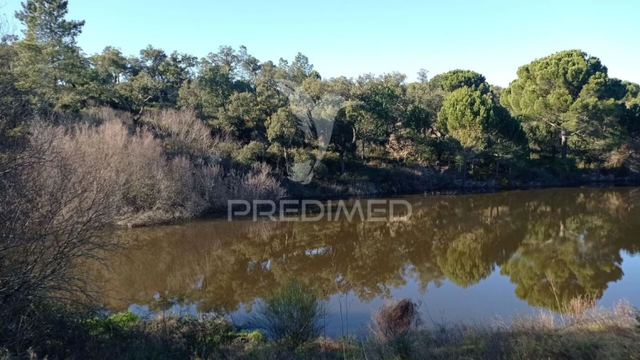 Quinta T0 para Venda em Mora Foto 31