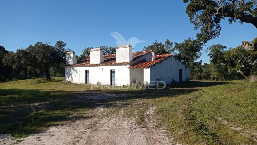 Quinta T0 para Venda em Mora