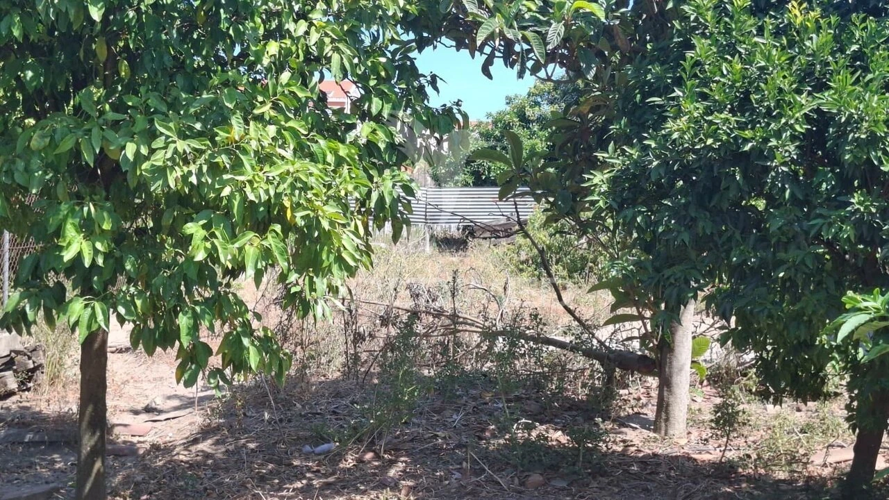 Moradia T3 para Venda em Alpiarça Foto 24