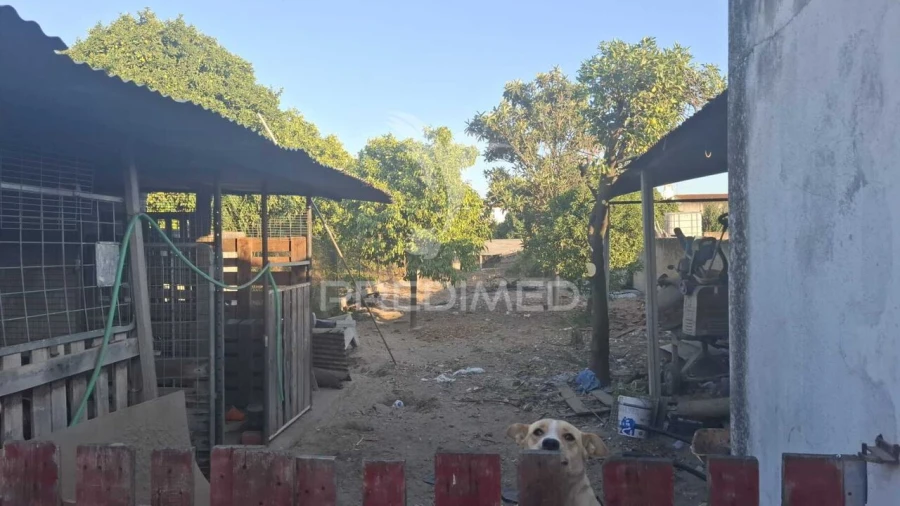 Moradia T3 para Venda em Alpiarça Foto 4