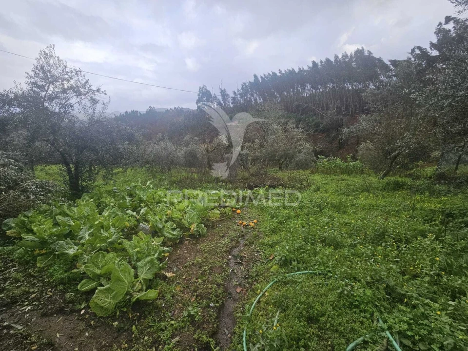 Moradia T3 para Venda em Beco Foto 28