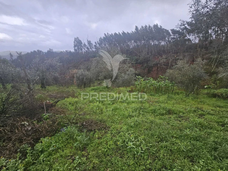 Moradia T3 para Venda em Beco Foto 29