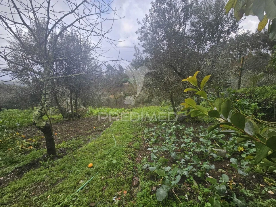 Moradia T3 para Venda em Beco Foto 31