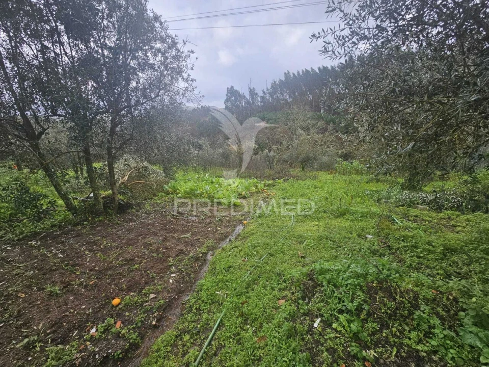 Moradia T3 para Venda em Beco Foto 27