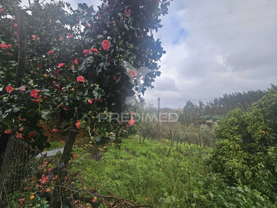 Moradia T3 para Venda em Beco Foto 25